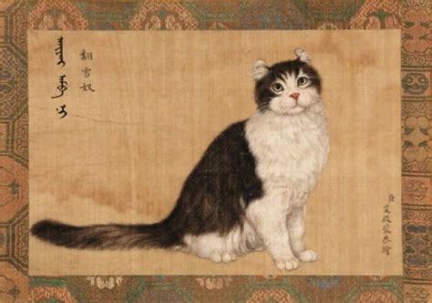 猫咪最火逗比名字,100个幽默的猫名字,100个招财猫名字(第5页)_大山谷图库