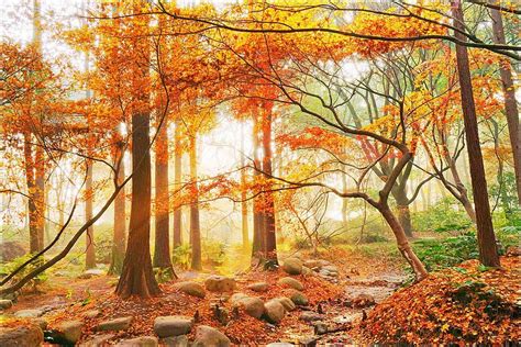 深秋时节美丽的山景高清图片下载-正版图片506229666-摄图网