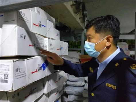 严把三个关口 河北市场监管部门进一步强化冷链食品疫情防控工作-中国质量新闻网