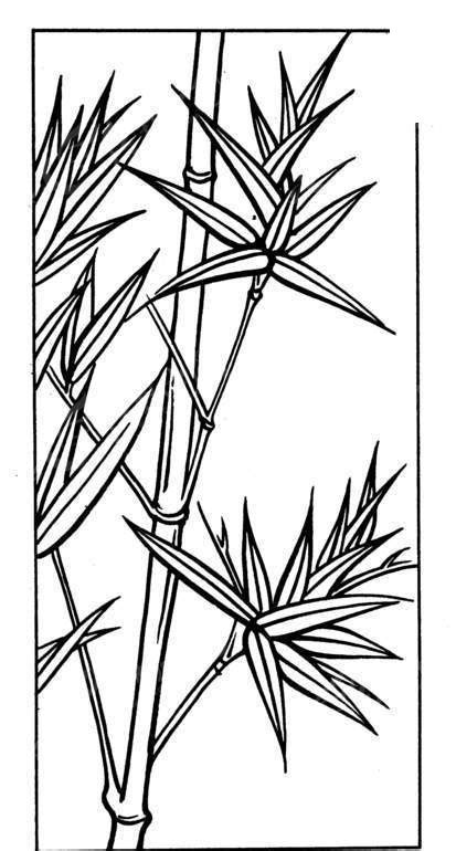 烫金线描竹子素材图片免费下载-千库网