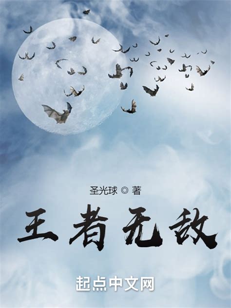 《王者无敌》小说在线阅读-起点中文网