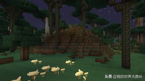《我的世界》暮色魔法森林地图详细介绍_九游手机游戏