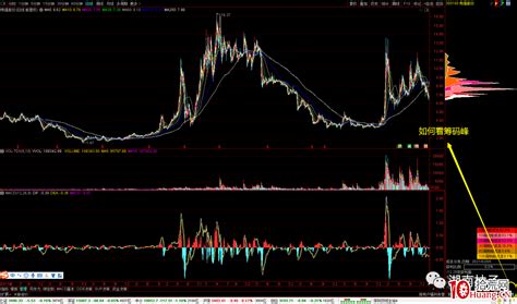 【筹码指标全套】 1主+2幅+7选股+1股池 动态筹码峰静态呈现-涨停板大学