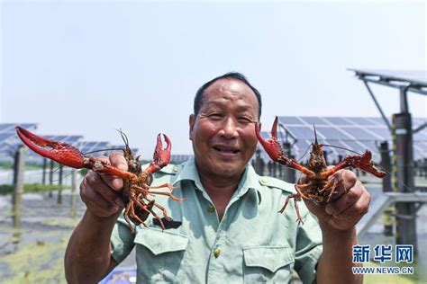 罗源“渔排托管贷”推动海上养殖转型升级 - 福州 - 东南网