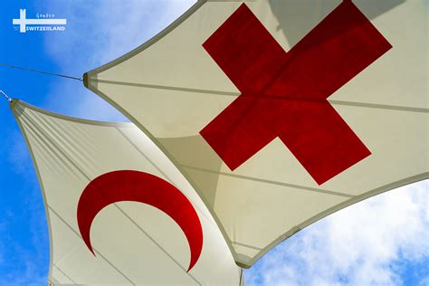 2019国际红十字会及红新月会博物馆-旅游攻略-门票-地址-问答-游记点评，日内瓦旅游旅游景点推荐-去哪儿攻略