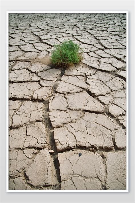 土地干裂水库干涸 一组图片带你了解各地旱情-图片频道-中国天气网