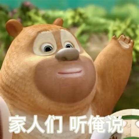 熊二熊大表情包图片