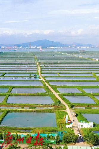 广州首家水产养殖型省级生态农场落户南沙