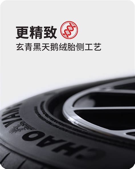 朝阳轮胎-中策橡胶集团股份有限公司