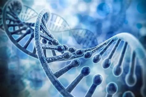 科研丨Nature Biotechnology：利用DNA甲基化进行宏基因组binning以及分析细菌宿主基因组和相关质粒__凤凰网
