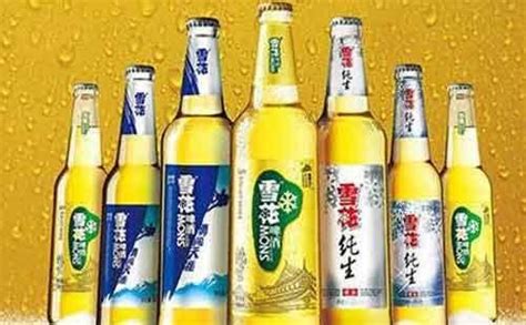 民建会员企业四川川啤啤酒生产项目正式试投产_界别活动_自贡市政协