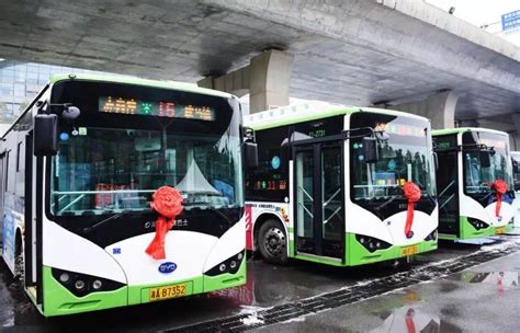 加快绿色公交推广进程 长沙投逾千辆比亚迪纯电动公交车_搜狐汽车_搜狐网