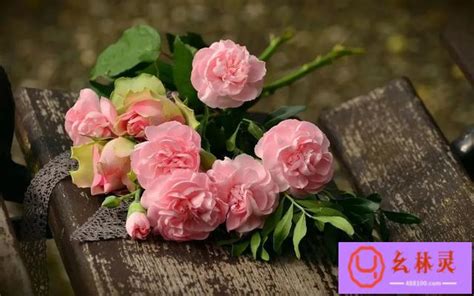 玫瑰花的浪漫英语（今天你收到的花真的是玫瑰吗） | 幺林灵（100）