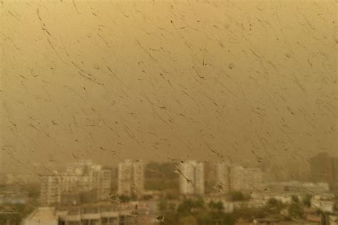 甘肃敦煌出现超大沙尘暴，巨型“沙墙”如末日来临，百年难得一见