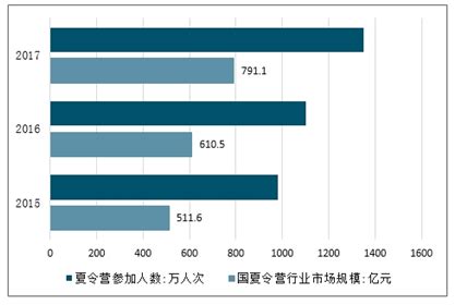 夏令营市场分析报告_2021-2027年中国夏令营行业深度研究与市场供需预测报告_中国产业研究报告网