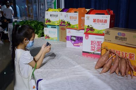 第三届中国洛阳甘薯产业文化节在伊川县举行-大河新闻