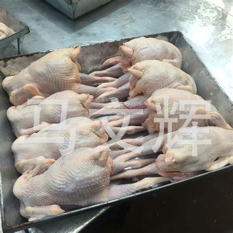 冻品鸡西装鸡全鸡童子鸡烤全鸡炸鸡用16-35头 鸡全规格9.8公斤/件-阿里巴巴