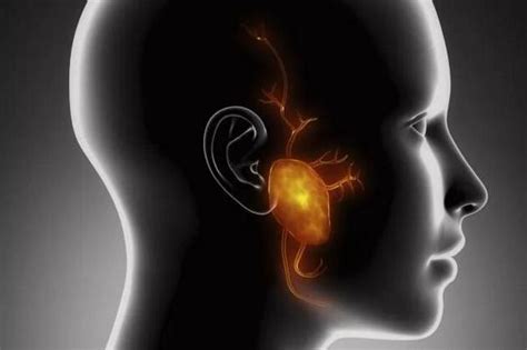 耳朵嗡嗡响怎么回事，专家教你判断神经性耳鸣的8个方法