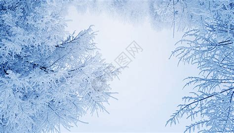 清新下雪背景图片素材-正版创意图片401038961-摄图网