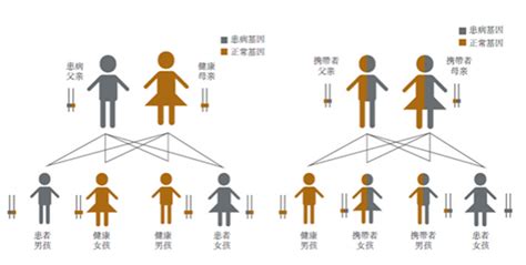 隐性遗传疾病基因检测（20种）-香港验血无创DNA预约机构-Zentrogene基因检测中心【官网】