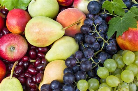 常见水果名称大全（42个科154种水果别说吃过你见过多少） – 碳资讯
