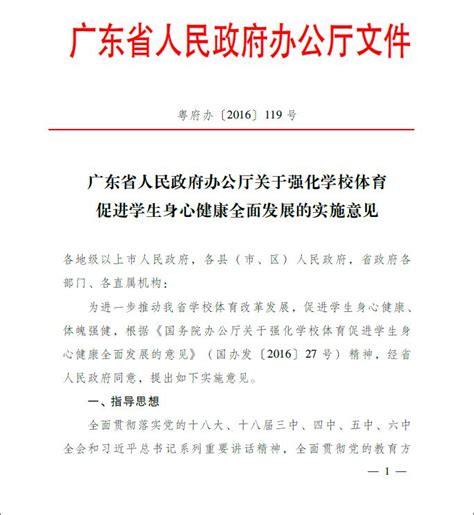 广东省人民政府办公厅关于强化学校体育促进学生身心健康全面发展的实施意见