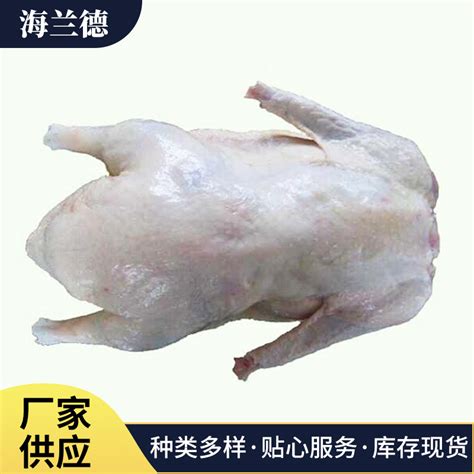 [白条鸭批发]大白条鸭、雁鸭、雁鹅价格5.25元/斤 - 惠农网