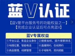 潍坊企业蓝v认证 -- 半岛卓越（青岛）网络传媒有限公司