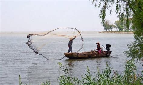 保护洪泽湖水环境和生物多样性 11年放流鱼蟹苗20多亿尾（只） _我苏网