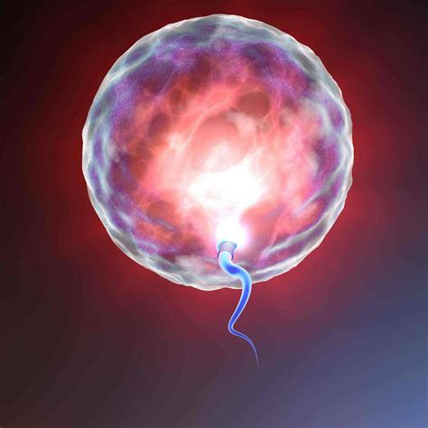精子卵子结合全过程！每个诞生的人，都是亿里挑一的精英！