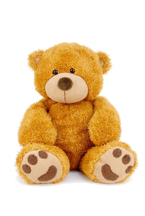 泰迪熊毛绒玩具图片-红色背景上系着领结的泰迪熊毛绒玩具素材-高清图片-摄影照片-寻图免费打包下载