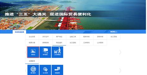 中国（广东）国际贸易“单一窗口”货物申报--系统基础操作篇