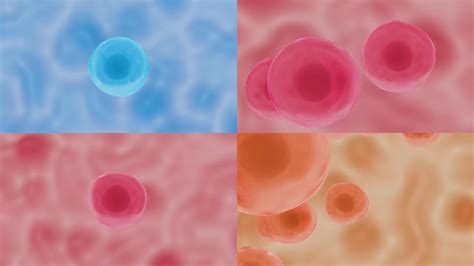 真核细胞、细胞核、细胞器和质膜成分的无缝环- 3d插图视频素材_ID:VCG42N1304068137-VCG.COM