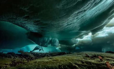 南极神秘发现，冰层上惊现30米未解生物冰川Ningen之谜