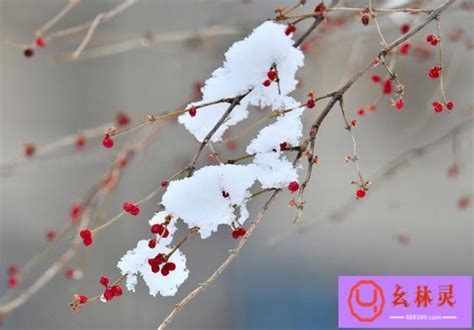 古诗中有哪些描写冬季雪景的诗句？ - 知乎