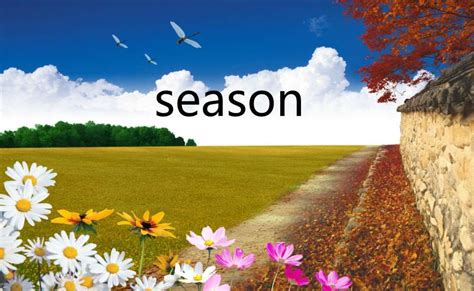 seasons是什么意思