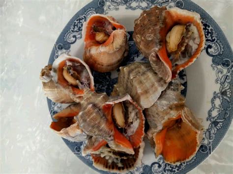 清蒸海螺的做法_【图解】清蒸海螺怎么做如何做好吃_清蒸海螺家常做法大全_主题曲ameh_豆果美食