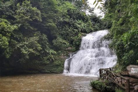 2019碧峰峡_旅游攻略_门票_地址_游记点评,雅安旅游景点推荐 - 去哪儿攻略社区