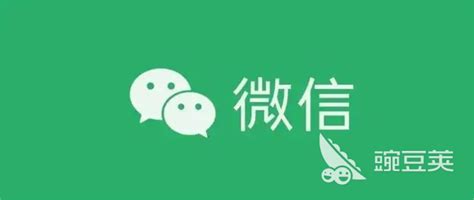 交友app排行榜前十名 交友软件有哪些_豌豆荚