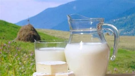 鲜牛乳和厚牛乳的区别-鲜牛乳和厚牛乳的区别介绍-六六健康网