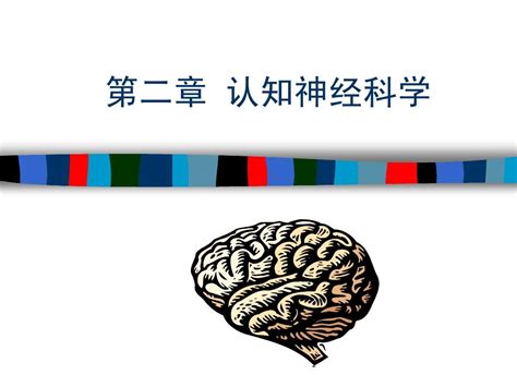 北京师范大学认知神经科学与学习国家重点实验室