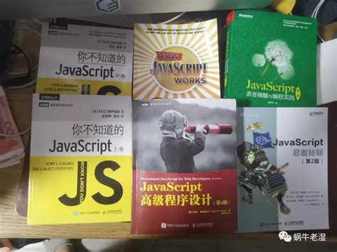 javascript开发框架权威指南pdf电子书下载-码农书籍网