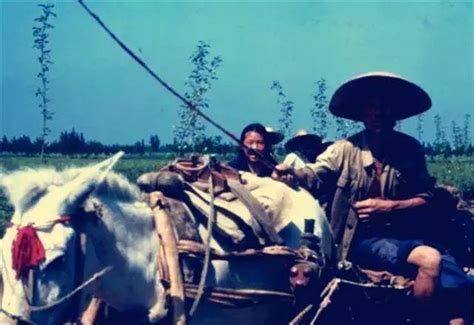 80年代中国的农村生活影像4视频素材,农业畜牧视频素材下载,高清1920X1080视频素材下载,凌点视频素材网,编号:650097