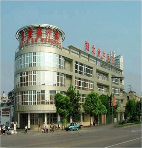 一个月内两家大型医院在洪山开工，武汉所有中心城区都有了三甲综合医院_武汉_新闻中心_长江网_cjn.cn