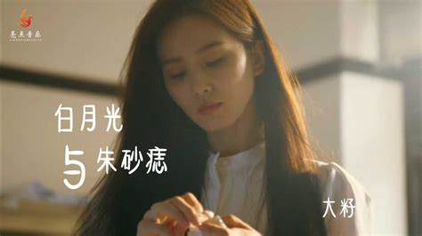 《白月光与朱砂痣》零基础舞蹈教学_腾讯视频