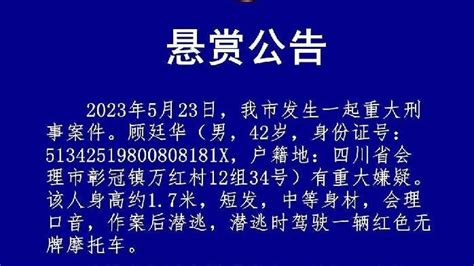 四川凉山州会理市发生4.3级地震_新闻频道_中华网