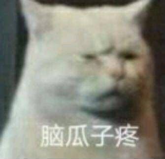 脑袋痛表情包图片