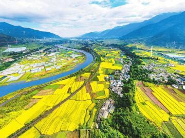 西昌：乡村振兴新跨越 现代农业谱新篇---四川日报电子版