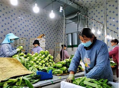 砀山酥梨等亮相亚洲果蔬产业大会 签约6个项目 拿到2亿订单_宿州市人民政府