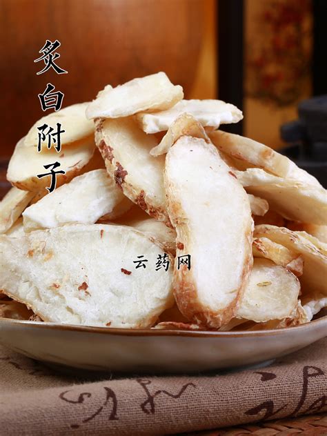 白附子图片